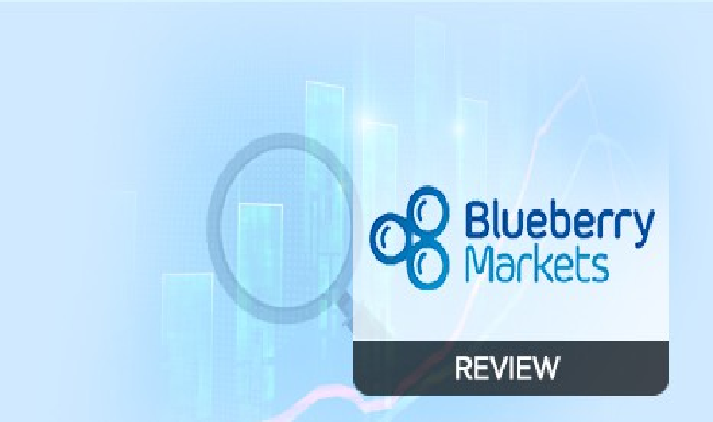 Blueberry Markets, Right Broker for You, Trading Instruments,