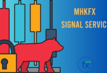 Forex signal service