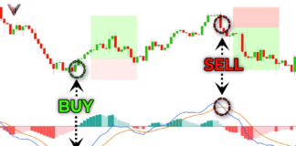 MACD Indicator