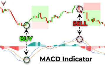 MACD Indicator