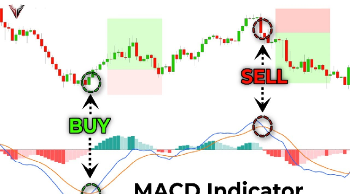 MACD Indicator