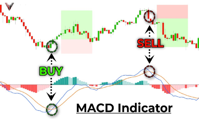 MACD Indicator