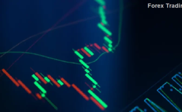 Forex Trading Terms