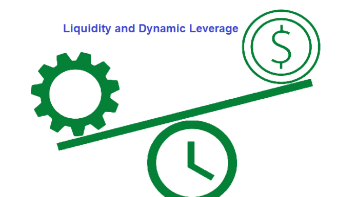 Liquidity and Dynamic Leverage