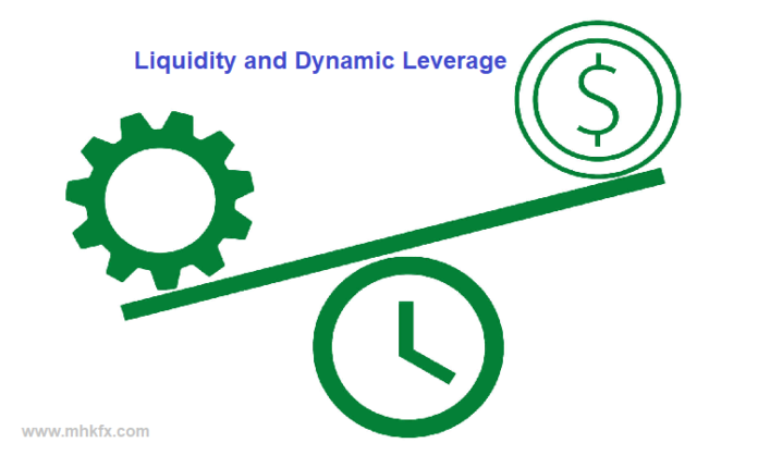 Liquidity and Dynamic Leverage